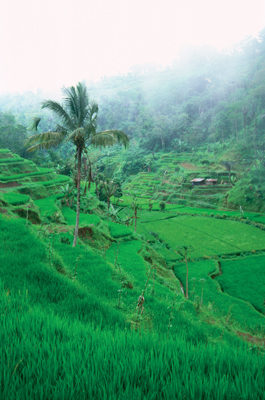 SCENERY mountain`SN 58